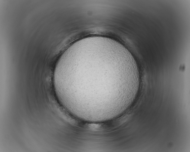 X0000111240265200907231536