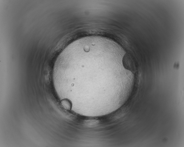 X0000111240266200907231536