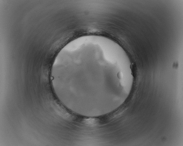 X0000111240269200907231536