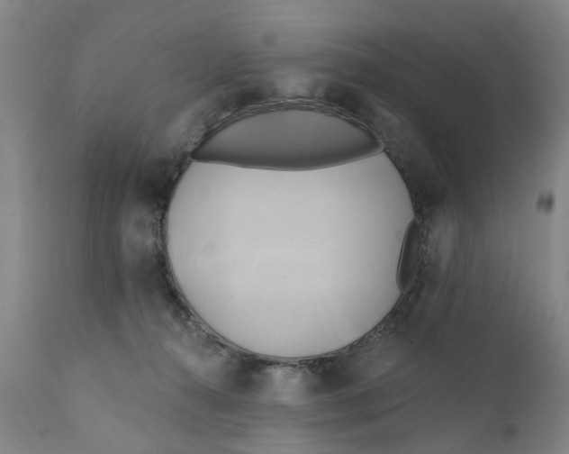 X0000111240272200907231536