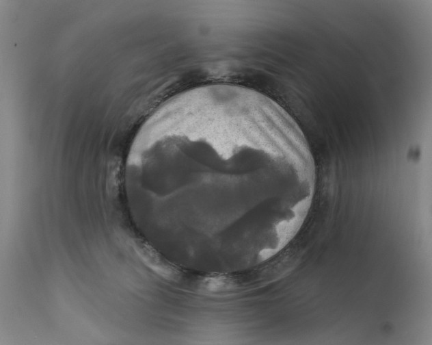 X0000111240275200907231536