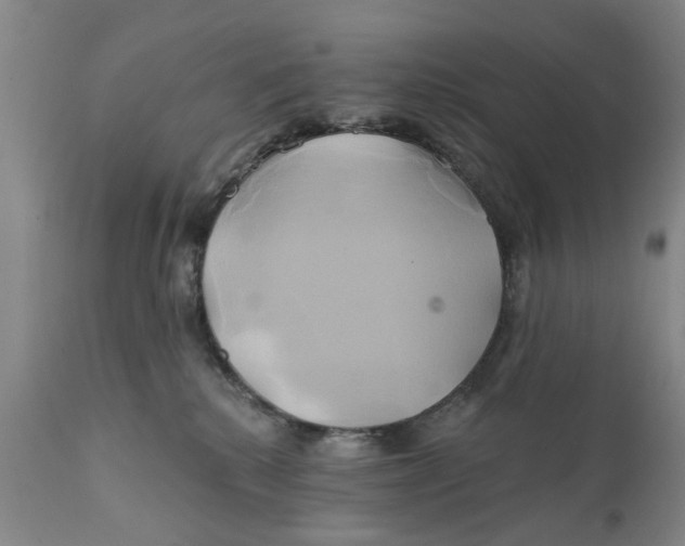 X0000111240280200907231536