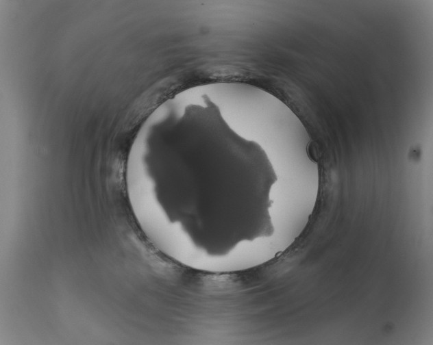 X0000111240281200907231536