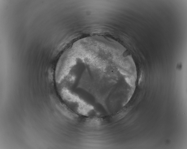 X0000111240282200907231536