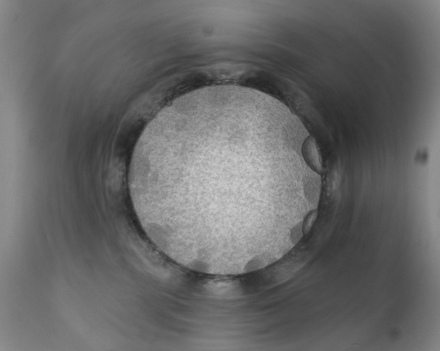 X0000111240283200907231536