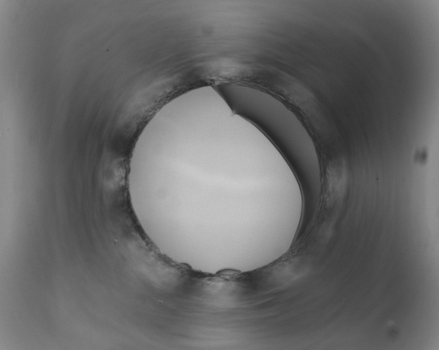 X0000111240284200907231536