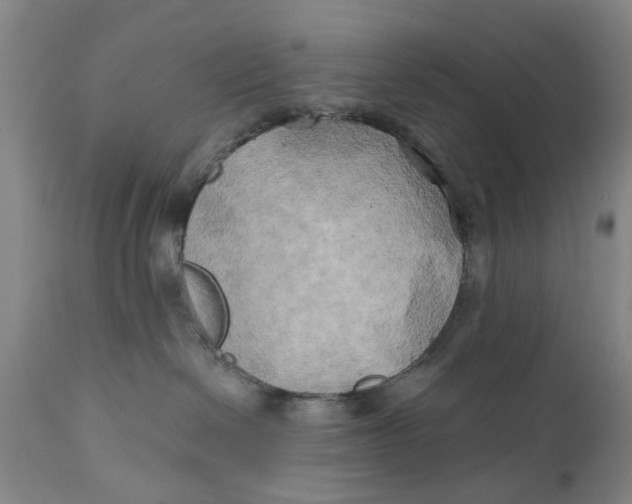 X0000111240286200907231536