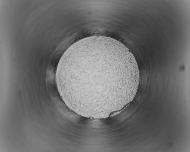 X0000111240287200907231536