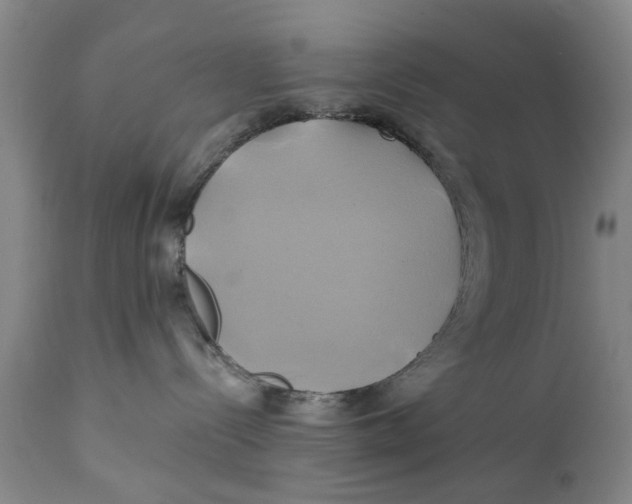 X0000111240288200907231536