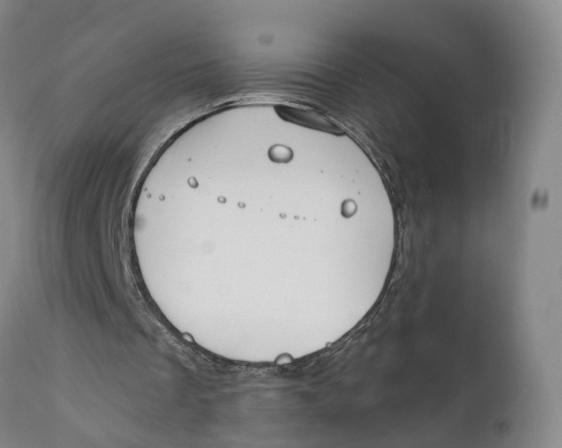 X0000111240289200907231535