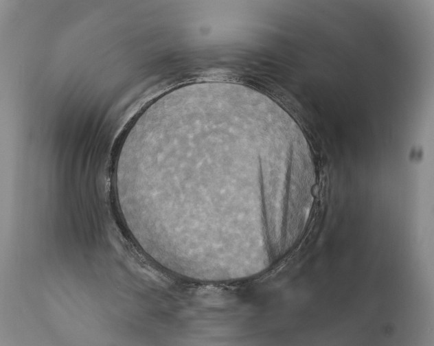 X0000111240290200907231535