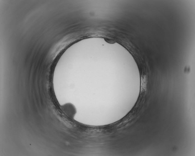 X0000111240291200907231535