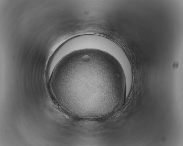 X0000111240292200907231535