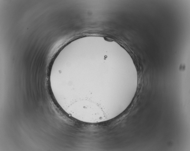 X0000111240293200907231535