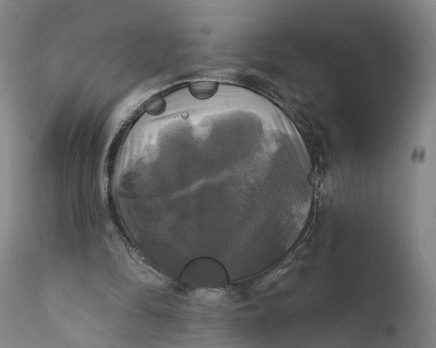 X0000111240294200907231535