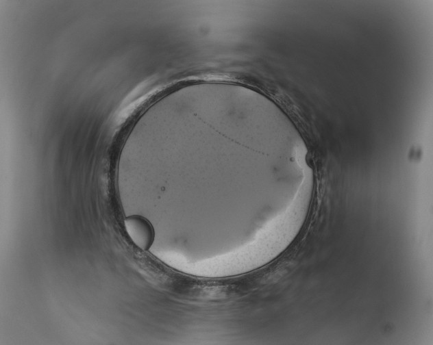 X0000111240295200907231535