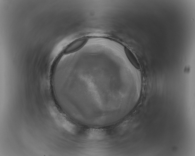 X0000111240296200907231535