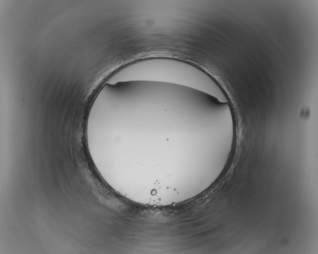 X0000111240297200907231535