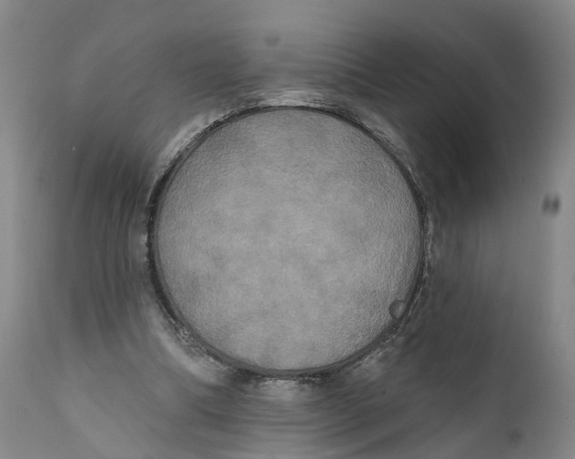 X0000111240298200907231535