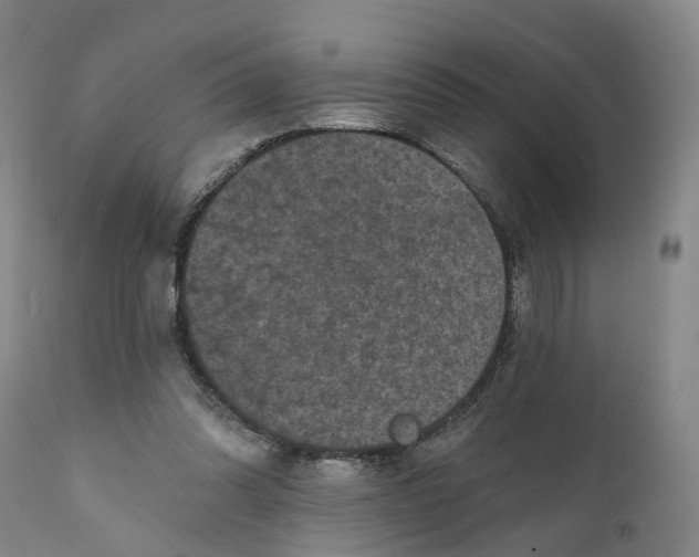 X0000111240302200907231535