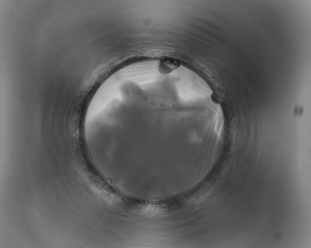 X0000111240303200907231535