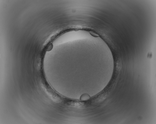 X0000111240304200907231535