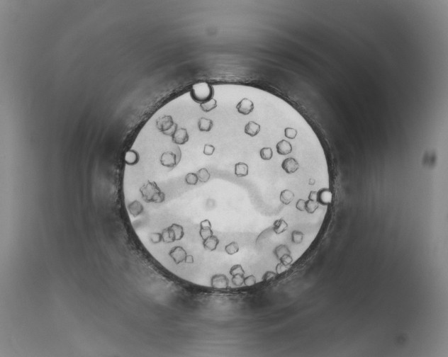 X0000111240305200907231535