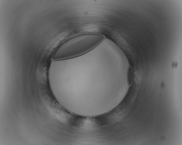 X0000111240308200907231535