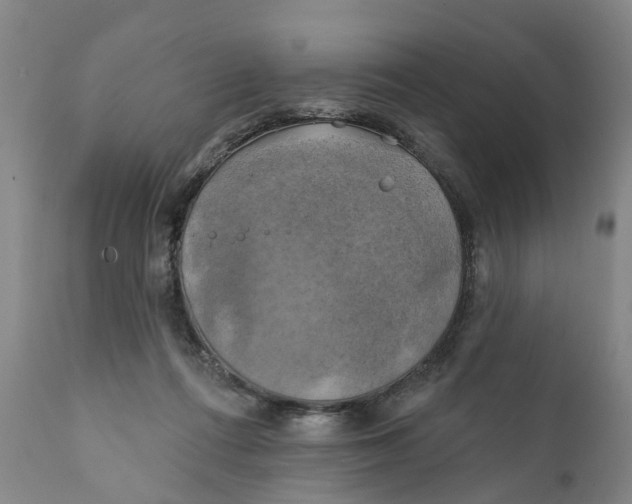 X0000111240312200907231535