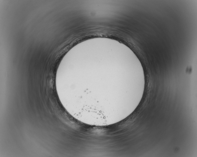 X0000111240313200907231535