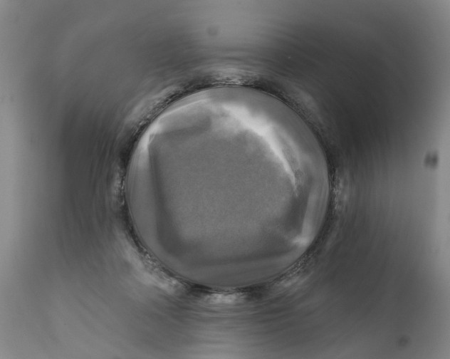 X0000111240314200907231535