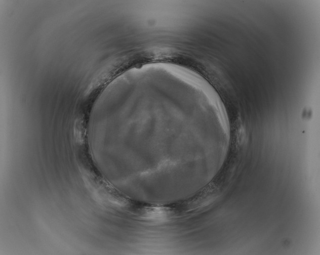 X0000111240316200907231535