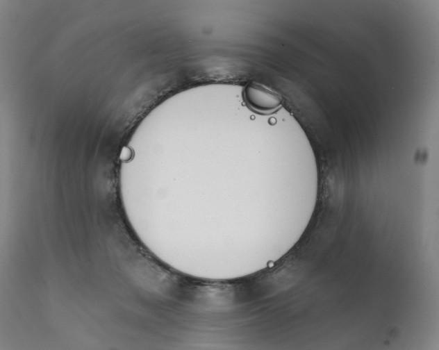 X0000111240317200907231535