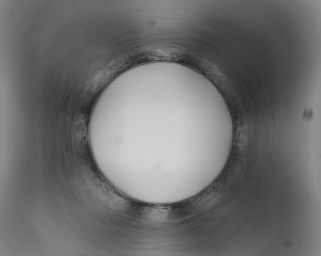 X0000111240318200907231535