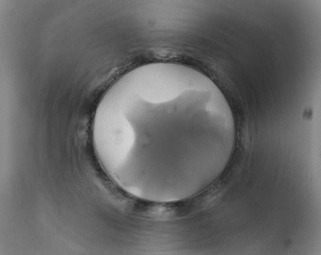 X0000111240319200907231535