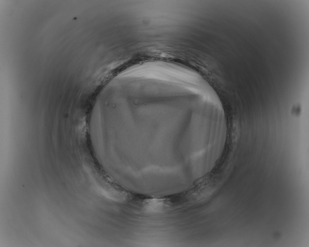 X0000111240320200907231535