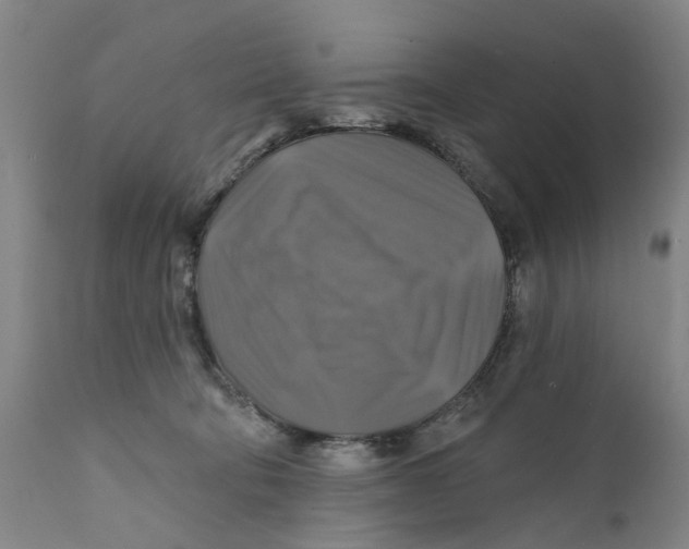 X0000111240322200907231535