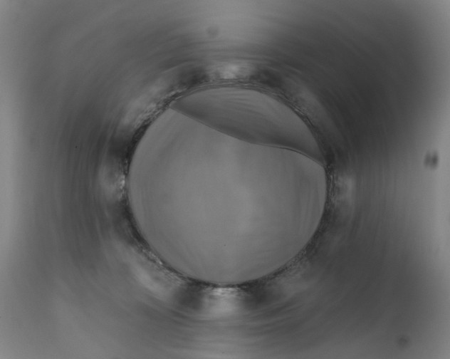 X0000111240324200907231535