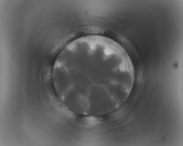 X0000111240326200907231535