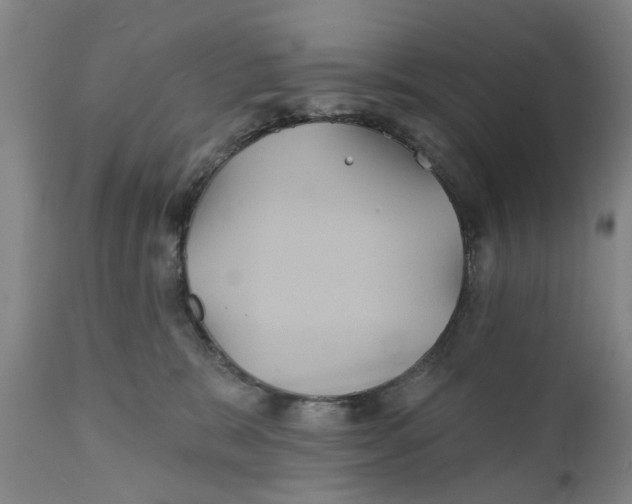 X0000111240327200907231535