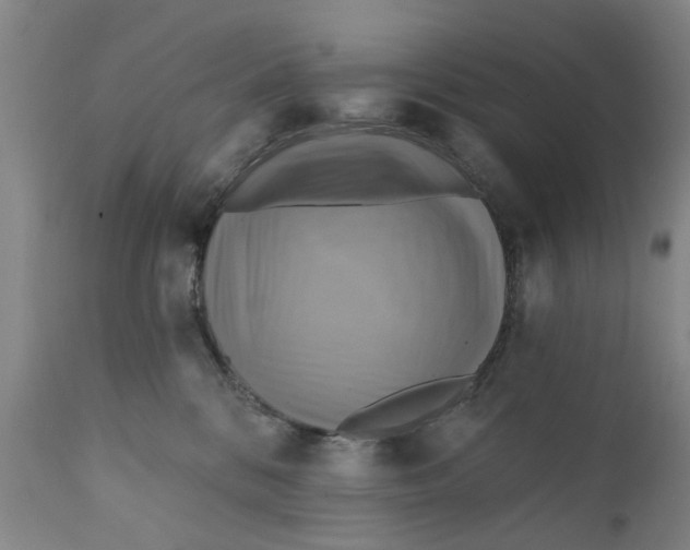 X0000111240328200907231535