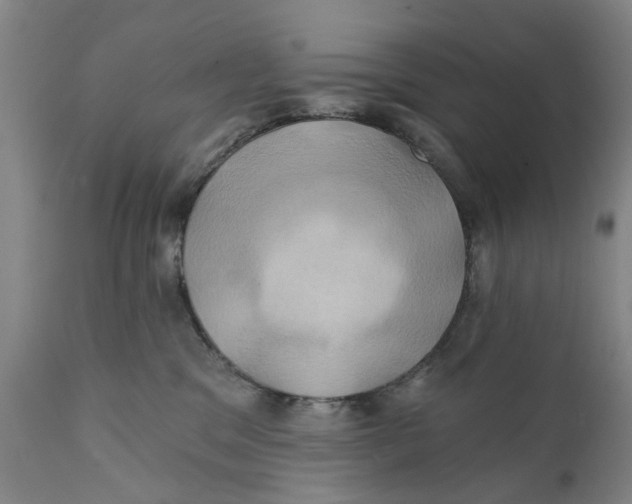 X0000111240329200907231535