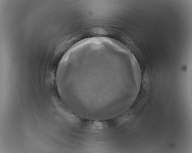 X0000111240330200907231534