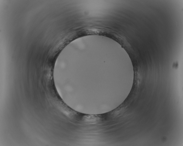 X0000111240331200907231534