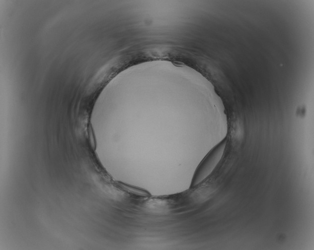 X0000111240332200907231534