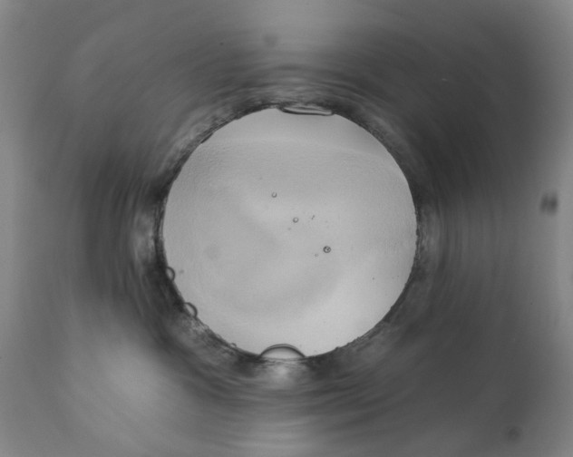 X0000111240333200907231534