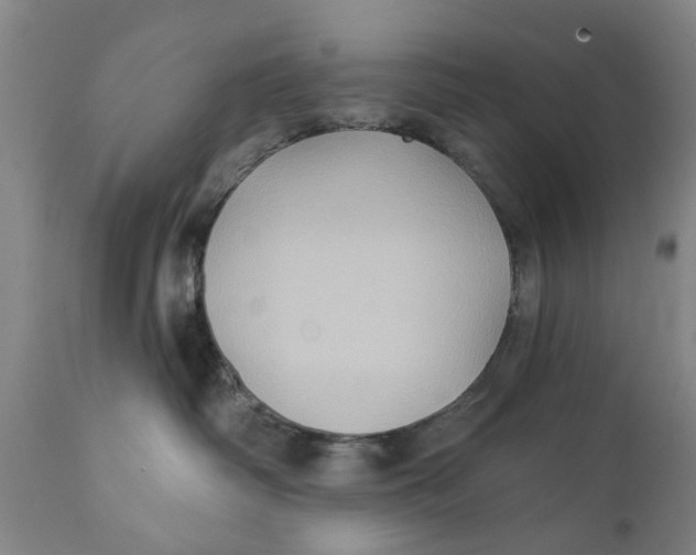 X0000111240334200907231534