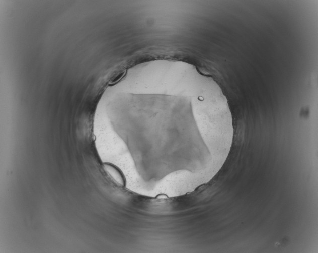 X0000111240335200907231534