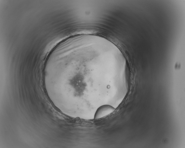 X0000111240337200907231534