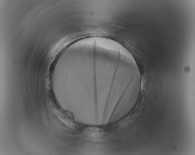 X0000111240339200907231534